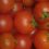 Tomaten – Vitaminreicher Genuss ohne Reue